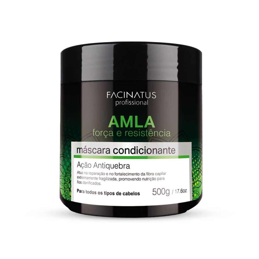 MÁSCARA CONDICIONANTE AMLA 500G